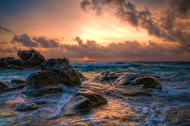 AI isn’t a standalone tool; it’s a long-term commitment for sustained change. Inside Wadhwani AI’s “do and learn” model for bringing responsible, field-ready AI to the last mile across India’s public systems.