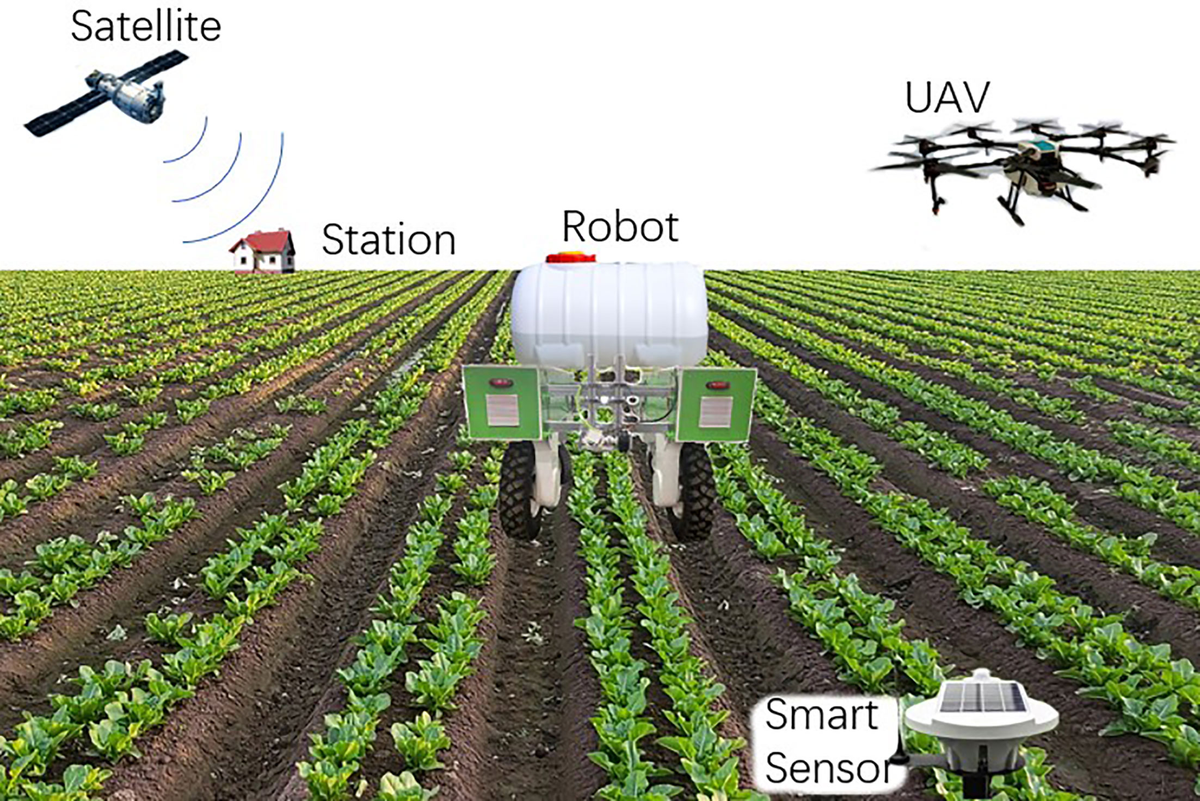 Artificial intelligence in farming: Bringing farmers on board with advancing technology