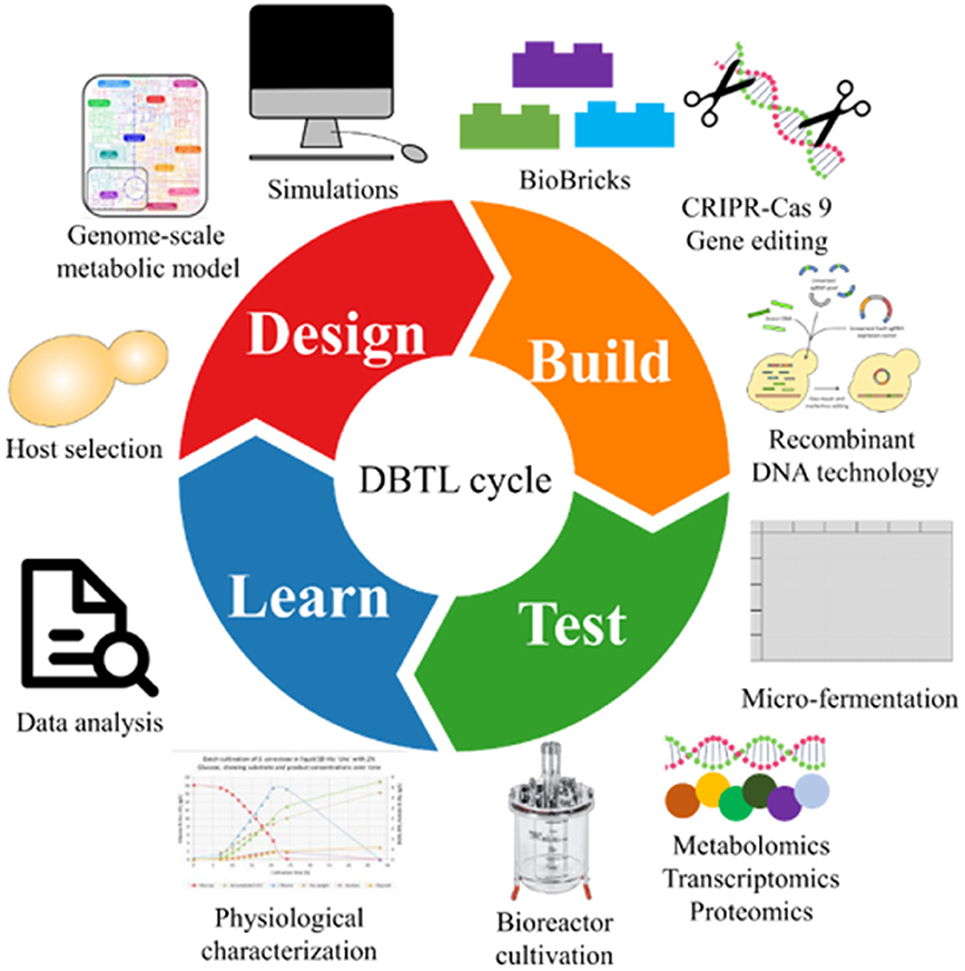 Artificial Intelligence-Integrated Biosensors for Antimicrobial Resistance Detection and Surveillance: A Review and...