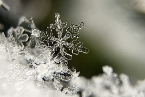 Snowflake Delivers Semantic View Autopilot as the Foundation for Trusted, Scalable Enterprise-Ready AI