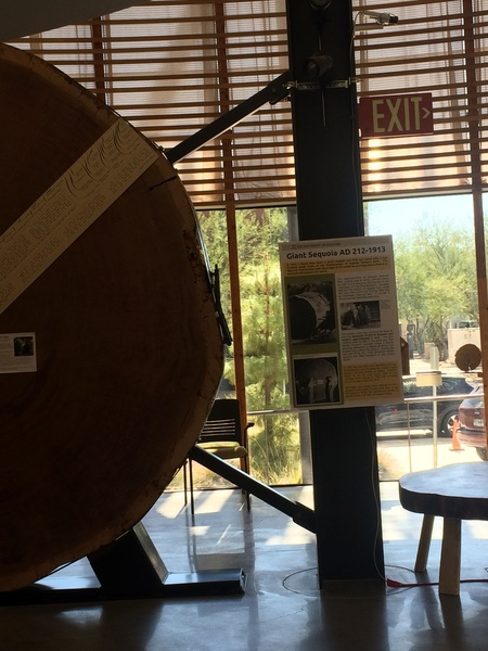 This Sequoia-backed lab thinks the brain is ‘the floor, not the ceiling’ for AI