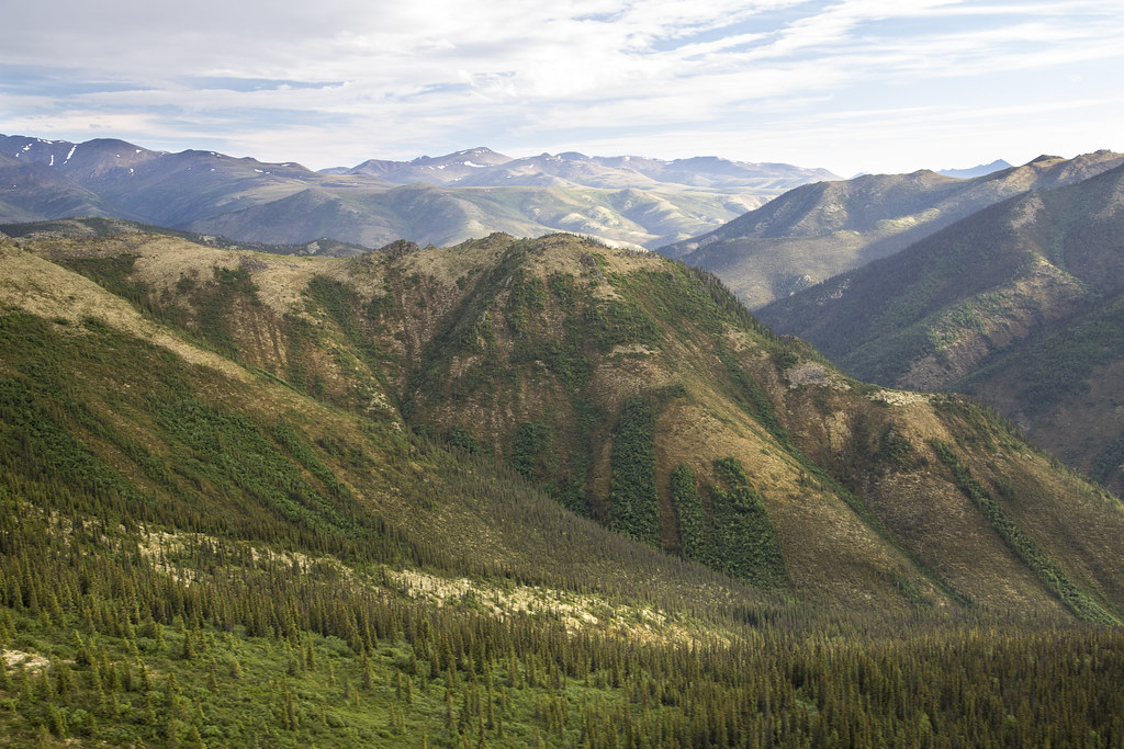 White Mountains Regional Adopts Artificial Intelligence Policy - Caledonian Record